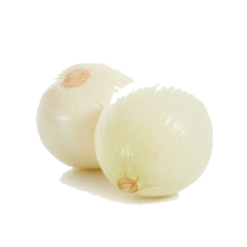 cebolla blanca - Provegano