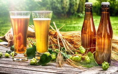Cervezas veganas – Toda la información y las mejores marcas de Cervezas para veganos